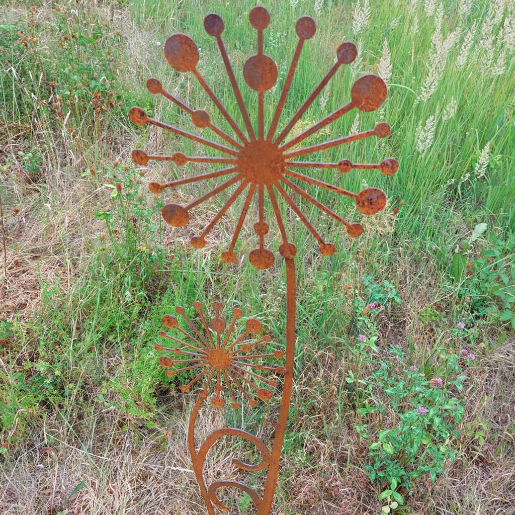 Blume Rostartikel